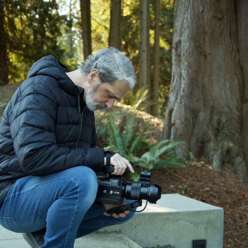 Cedar Cafe / Micro-content